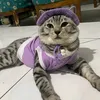 monmonss2
