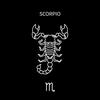 v.v.scorpion