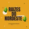 raízesdonordestes