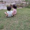 hareemareesh