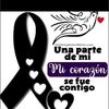 abril_glez_82