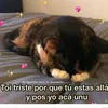 solangeabigailmar