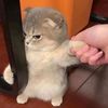 juhnnyondabeatsoitsnice