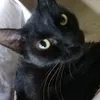 marilenemariada74