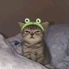 _arwa_221