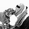8.hla1