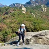 bai_tong5599