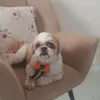 noah.nonox.com