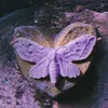 meu_marttine