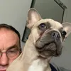 flakeypastrey