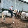 cesarwzz._