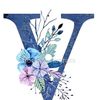 vdps41