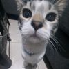 rafa_08.06