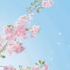 nangut_taycuulong