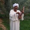 عادل عثمان الطيب