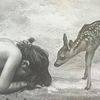 fiddlehead.fawn