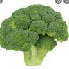 218broccoli