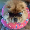chows_lucy_and_logan
