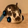 loafybun