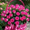 user8532949616634
