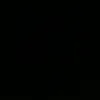 mark_wega