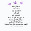 lolo_11211