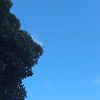 orang_random_sesuai_mod2