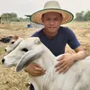 พงษ์เกษตรกรพันธุ์แท้