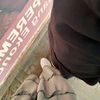 asfatul_1