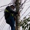 maestroelektrico