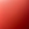 vip_998877