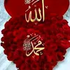 suhanahashemi5