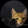 rodrigo_mariano_45
