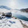 hamidgogo77