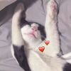 _orm77