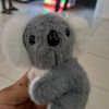 el_van_s_gontel