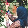 noha8610