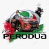 mat_perodua