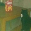 user_15052007
