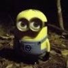 samallama_71
