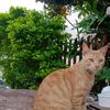 richan757