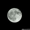 bazarow_10