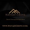 navajogrovedet.mi