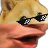 poggodoggoh