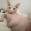 x_kioui_x