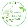 bandal_tail