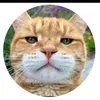 nanyaaaaaaaaaaa22222