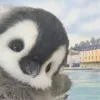 flamsbreton_