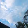 naj_mun18