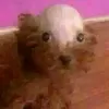 sink_with_power